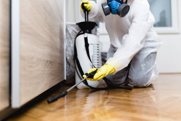 Best Pest Control Near Me  in Brewer, ME