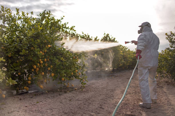  Brewer, ME Pest Control Pros