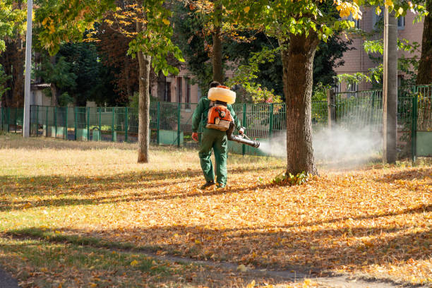 Best Spider Control Near Me  in Brewer, ME