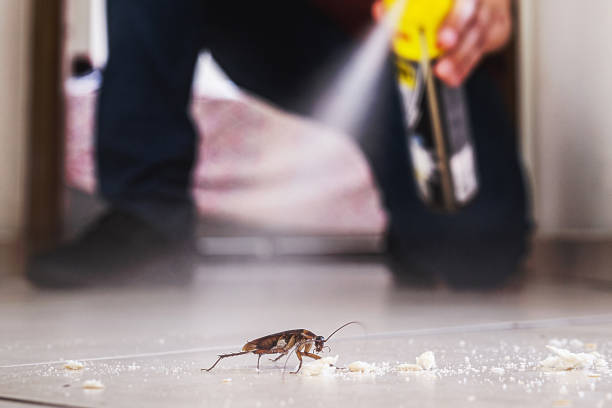 Best Bed Bug Extermination  in Brewer, ME