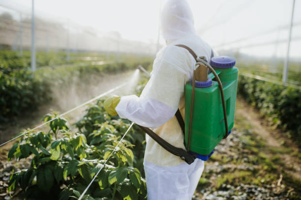 Best Affordable Pest Control Services  in Brewer, ME